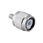 TNCP-316